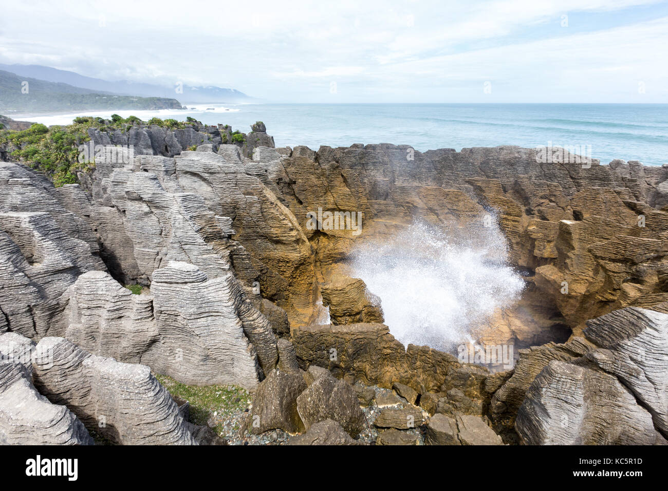 Pancake rocks, Punakaiki, Isola del Sud, Nuova Zelanda Foto Stock