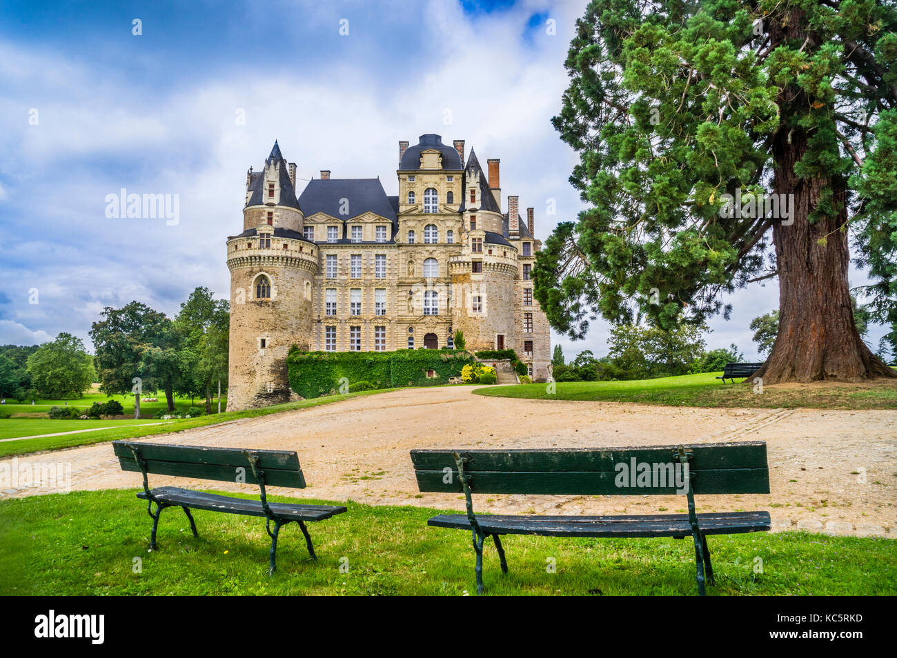 Francia, Maine-et-Loire department, Pays de la Loire, Brissac-Quincé, vista del Château de Brissac, con complessivamente 7 storie, il più alto château nel Foto Stock