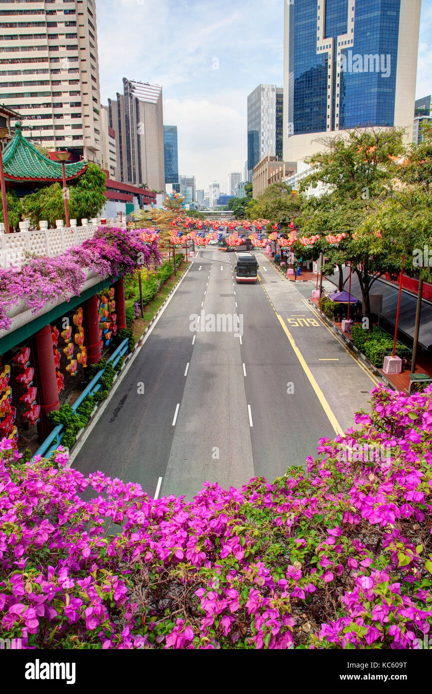 Le strade di Singapore chinatown si animano con motivi floreali e decorazioni lanterna durante il festival di metà autunno, noto anche come torta della luna festival o Foto Stock