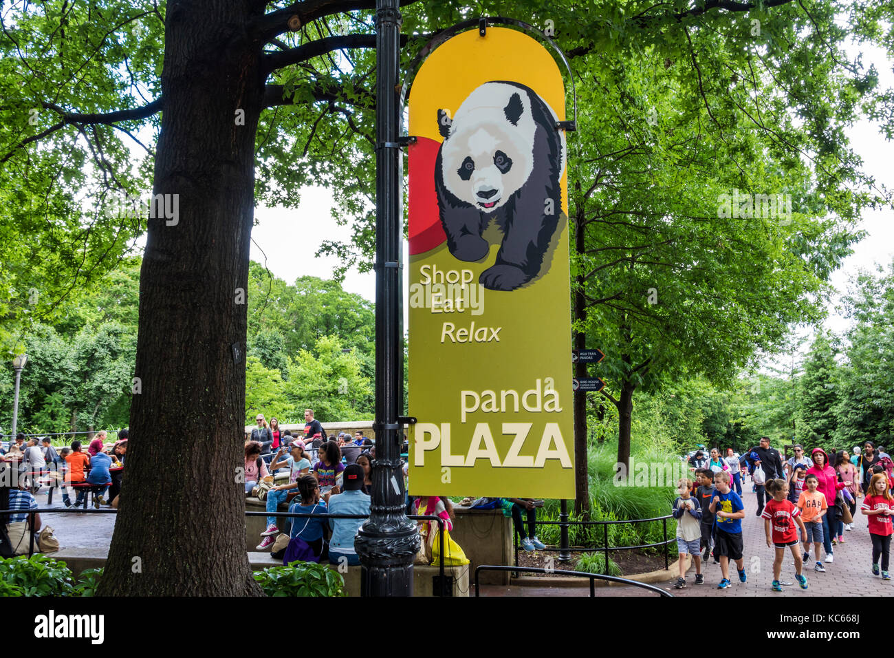 Washington DC, National Zoo, Panda plaza, DC170525078 Foto Stock
