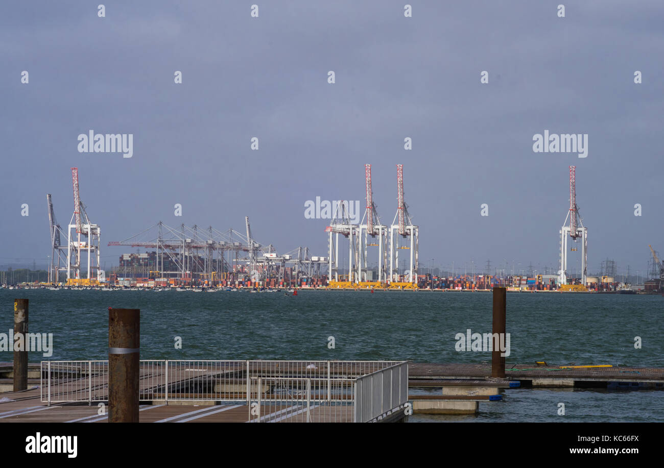 Gru per container e gru a portale presso i Western Docks nel porto di Southampton 2017, Inghilterra, Regno Unito Foto Stock