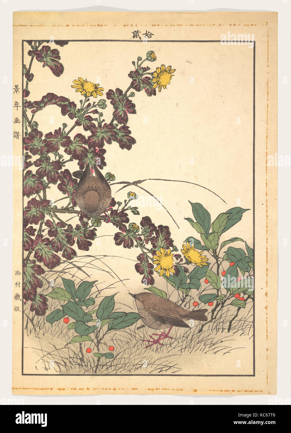 Keinen gafu kachō 景年花鳥畫譜, due uccelli e Crysanthemums, da Keinen gafu kachō (Keinen's Flower-E-Bird manuale di verniciatura Foto Stock