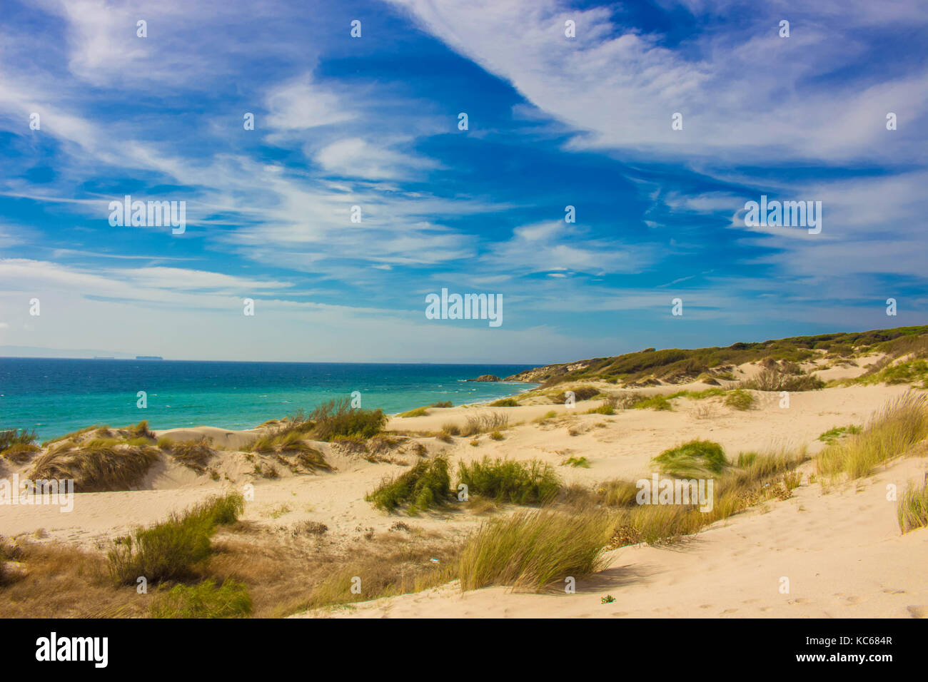 Spiaggia. estate paesaggio. Punta Paloma Beach, Tarifa, Spagna. Foto Stock