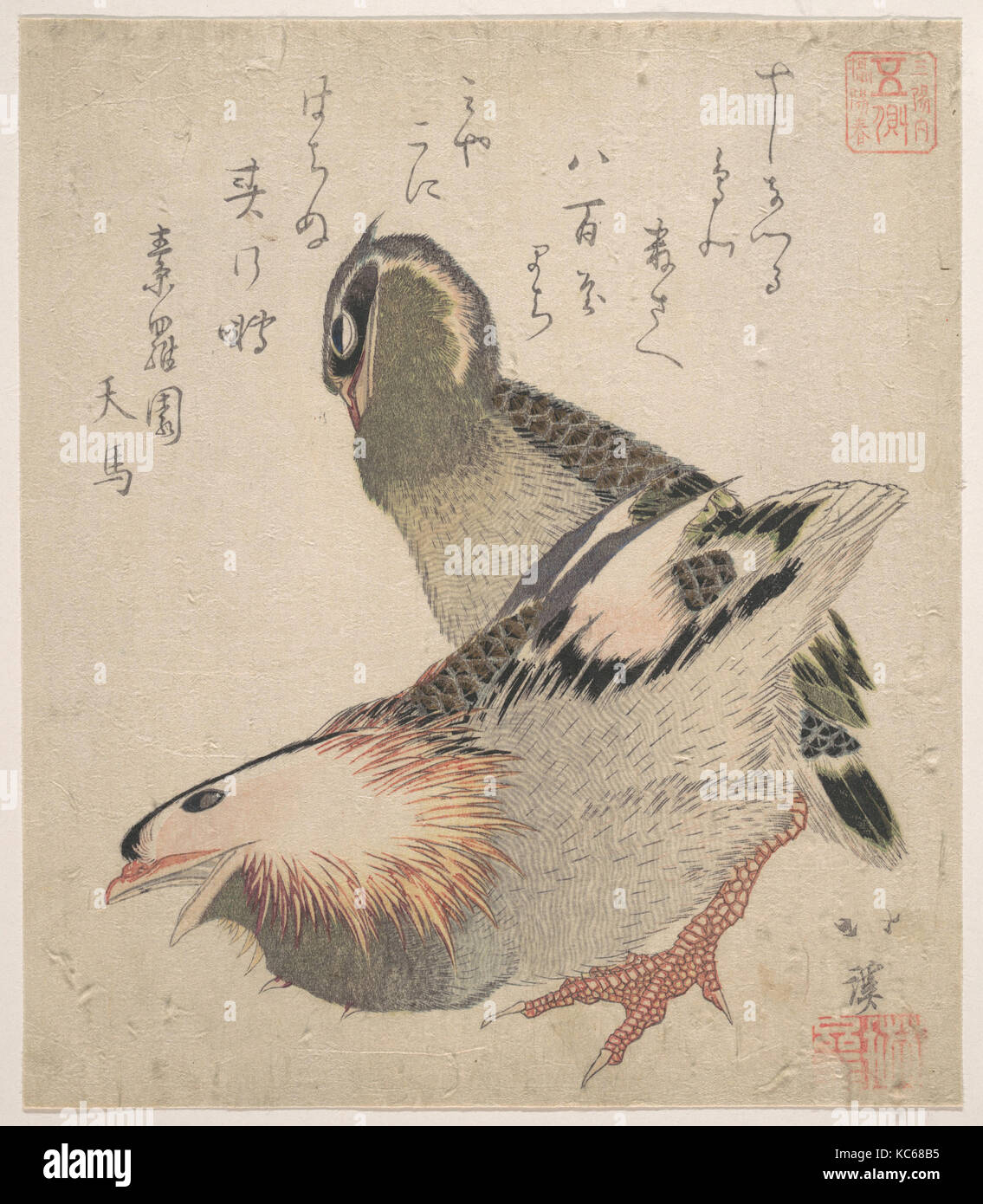 Due uccelli, periodo Edo (1615-1868), Giappone, policromi woodblock stampa (surimono); inchiostro e colore su carta, 8 1/4 x 7 1/8 in. (21 Foto Stock