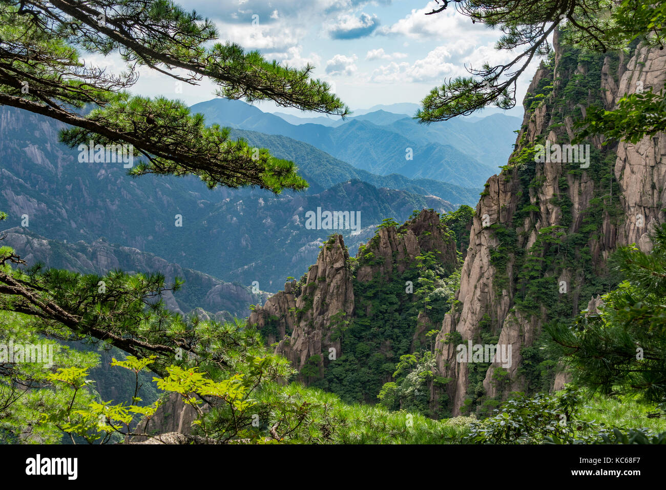 Xihai Grand Canyon, gialle di montagna, Huangshan, Cina Foto Stock