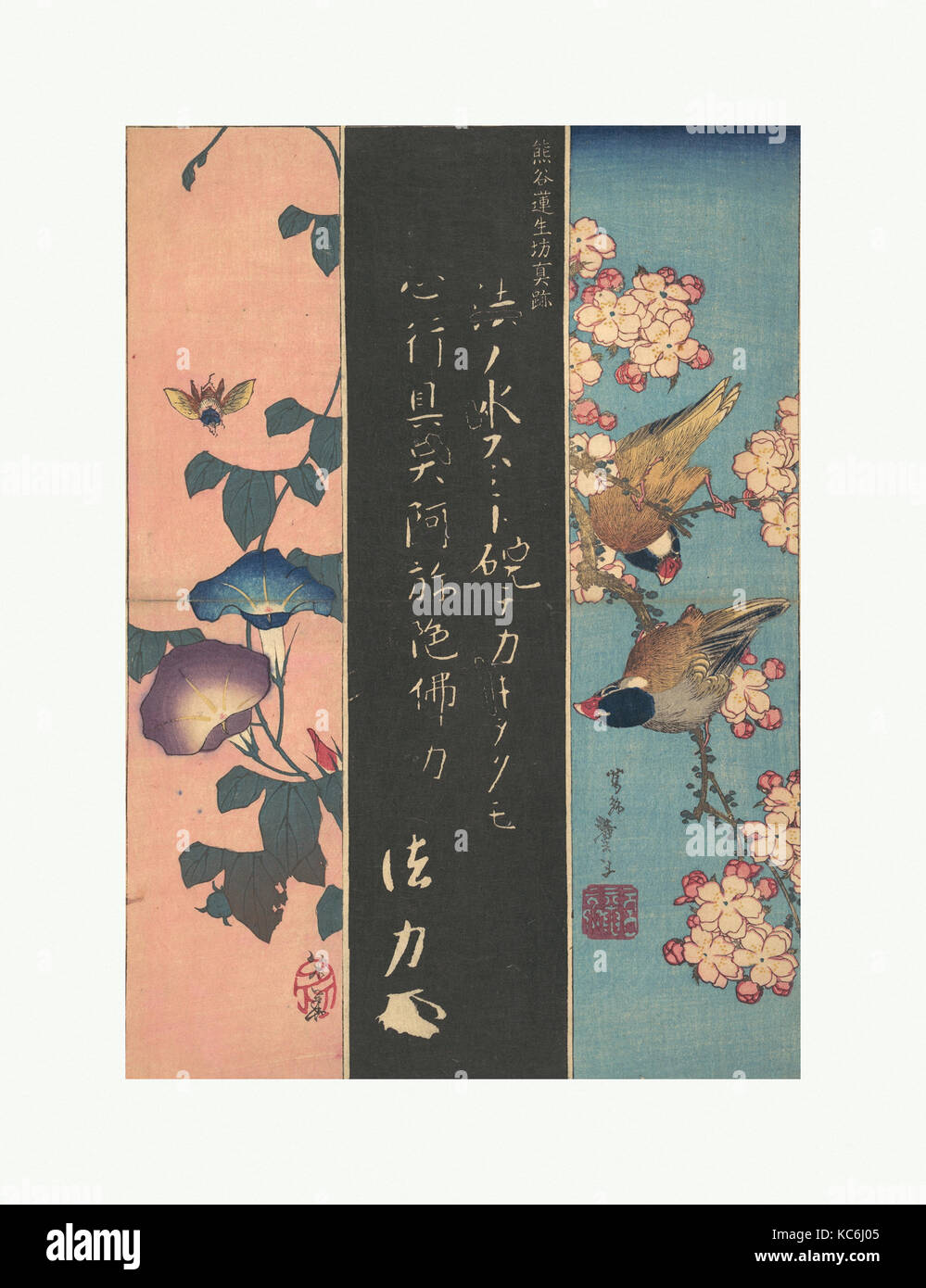 古今書画鑑 熊谷蓮生坊真跡, Bird-e-Flower dipinti, Katsushika Hokusai, ca. 1816-20 Foto Stock