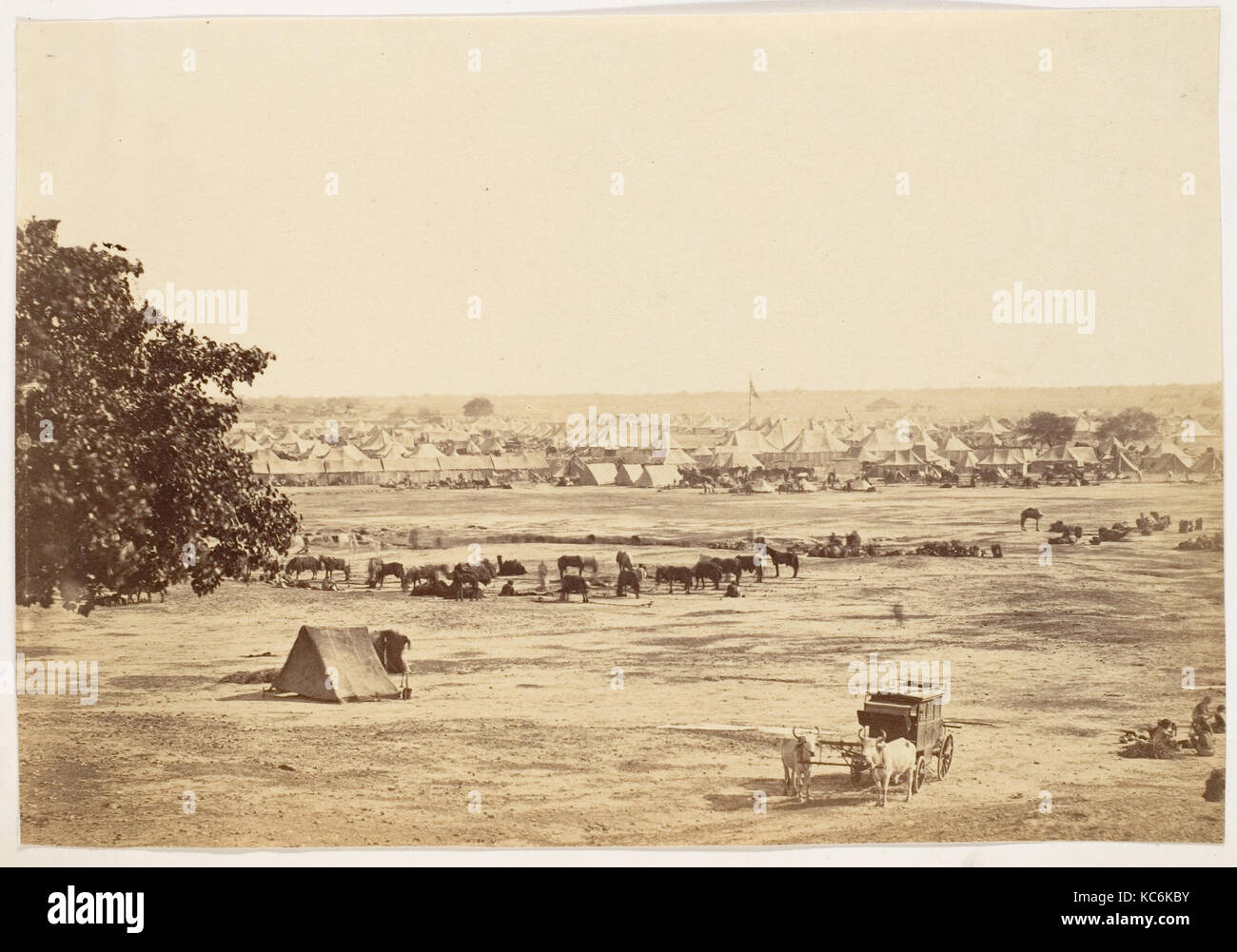 Governatore Generale e Comandante in Capo di Camp, Jullundur, sconosciuto, 1858-61 Foto Stock