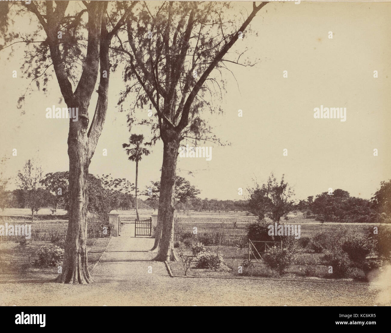 Giardino in distretti indaco, Capitano R. B. Hill, 1850s Foto Stock