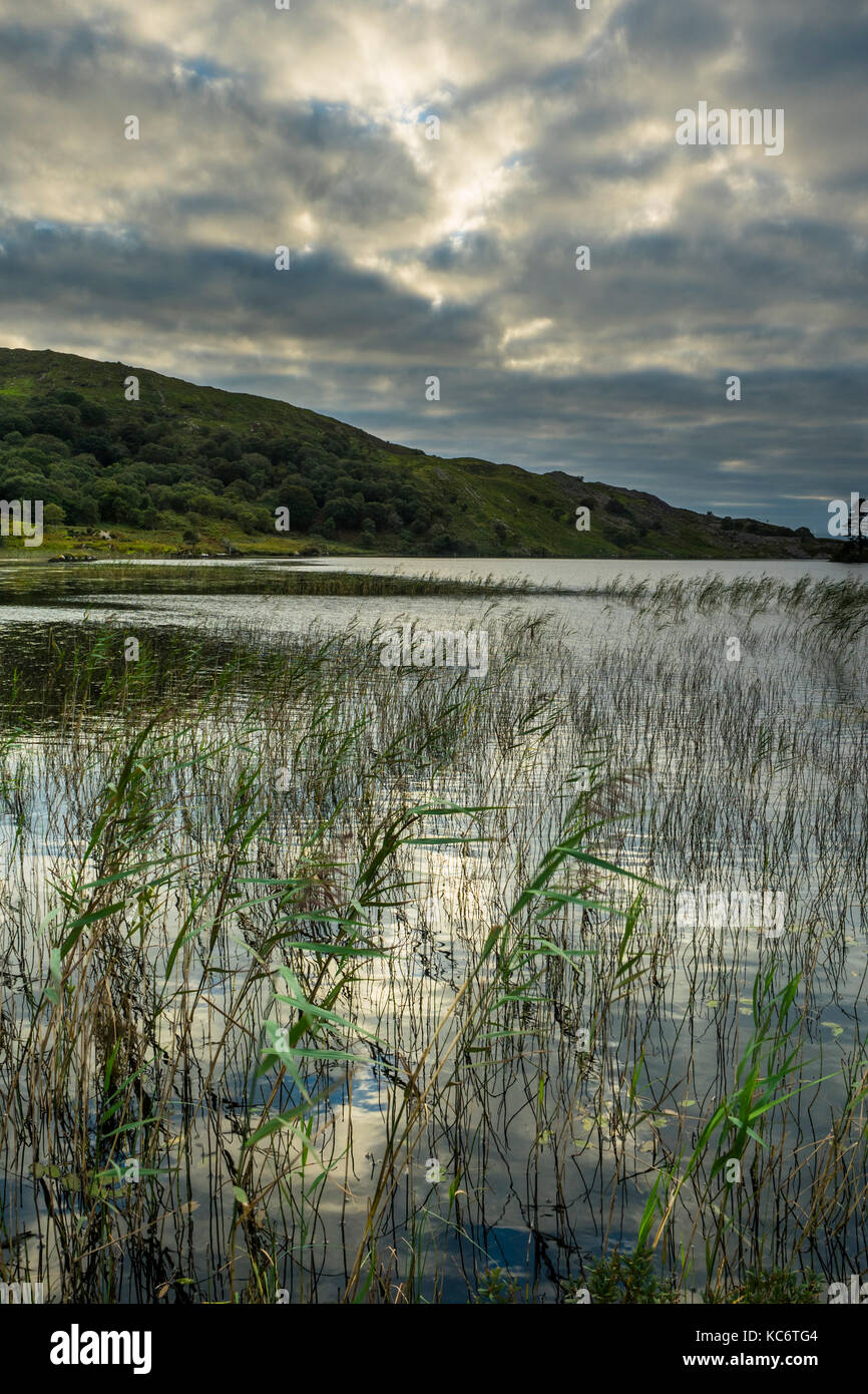 Cloonee Loughs, vicino a Kenmare Foto Stock