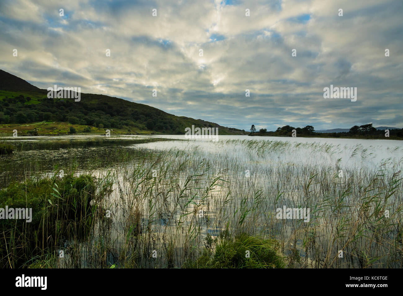 Cloonee Loughs, vicino a Kenmare Foto Stock
