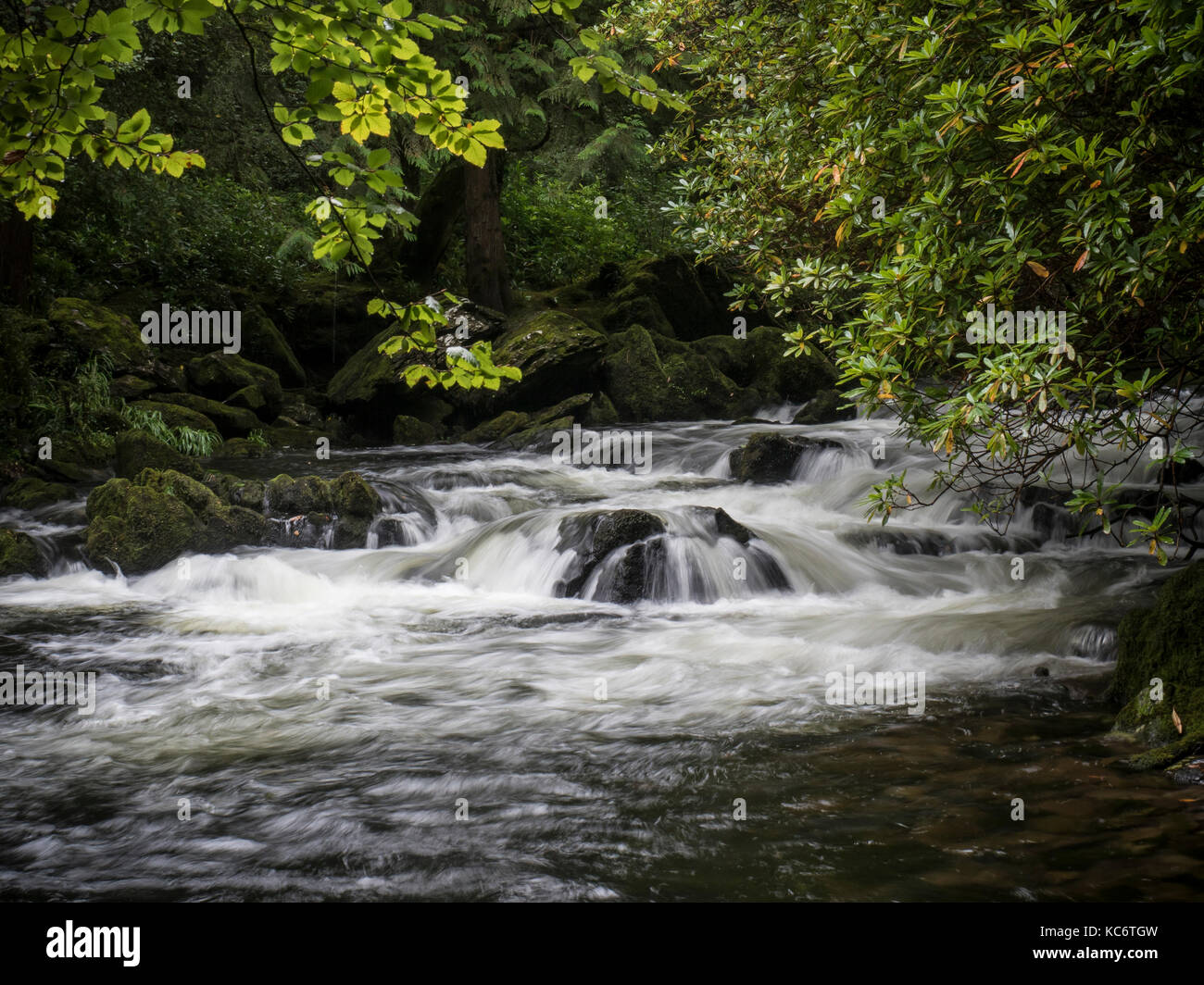 Flusso della penisola di Beara, nella contea di Kerry, Irlanda Foto Stock