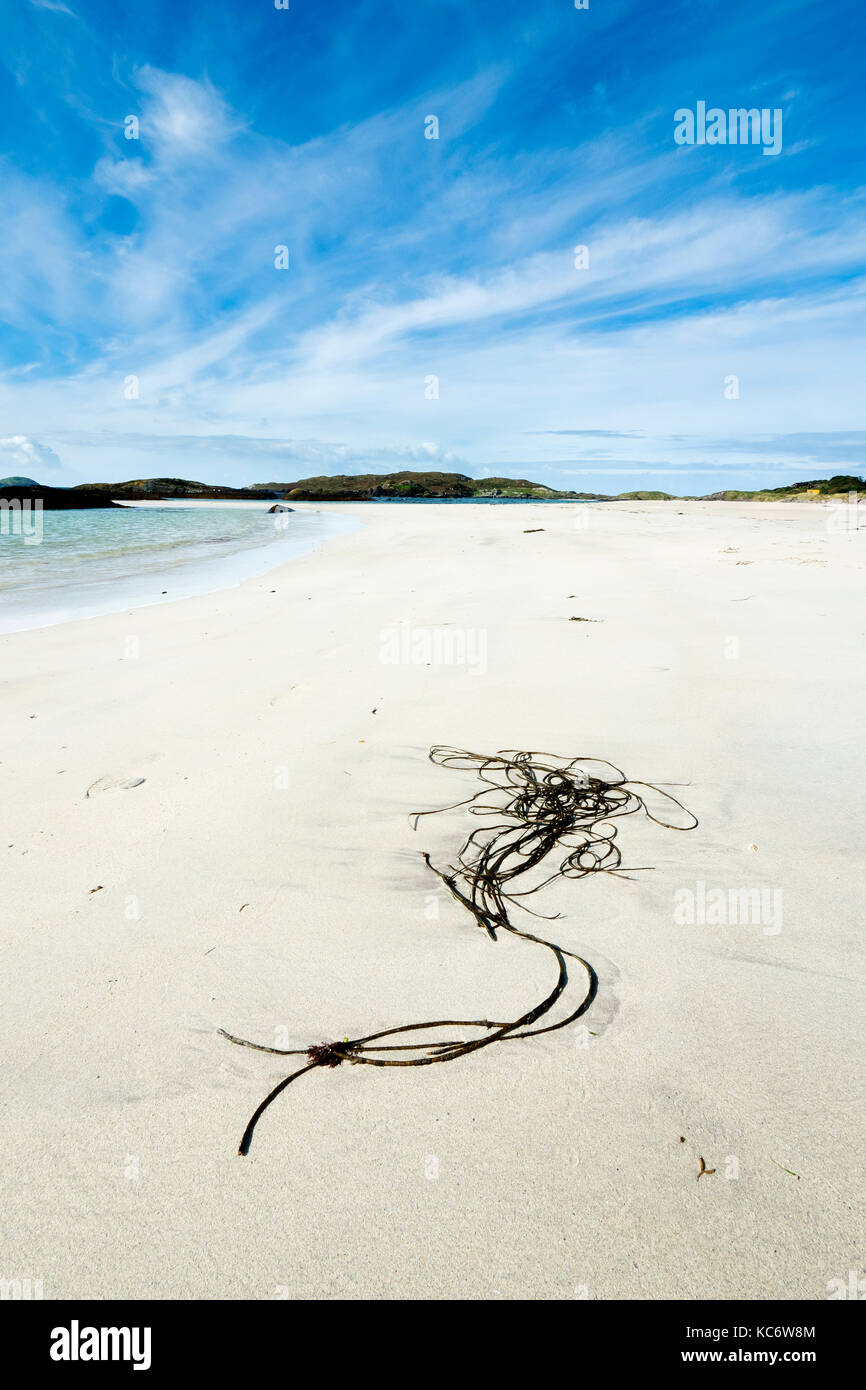 Spiaggia della penisola di Beara, nella contea di Kerry, Irlanda Foto Stock