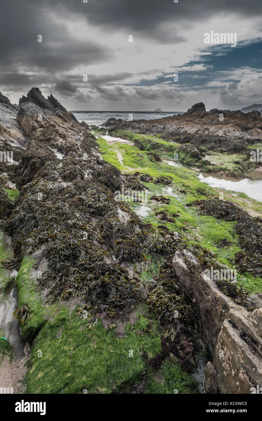 Spiaggia di fronte le Isole Skellig sull'anello di Skellig, nella contea di Kerry, Irlanda Foto Stock