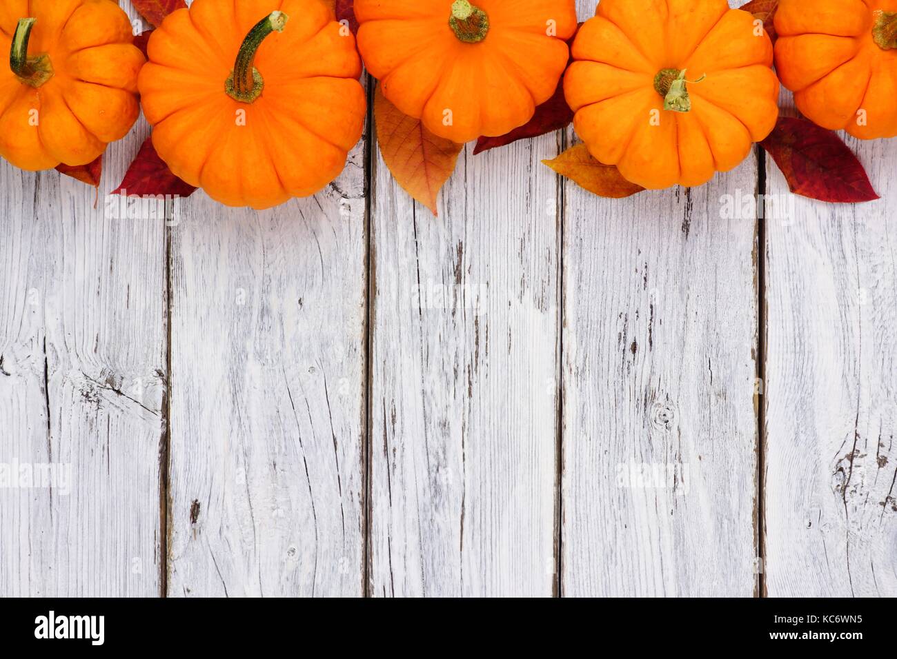 Foglie di autunno e zucca bordo superiore su un rustico di legno bianco sullo sfondo Foto Stock