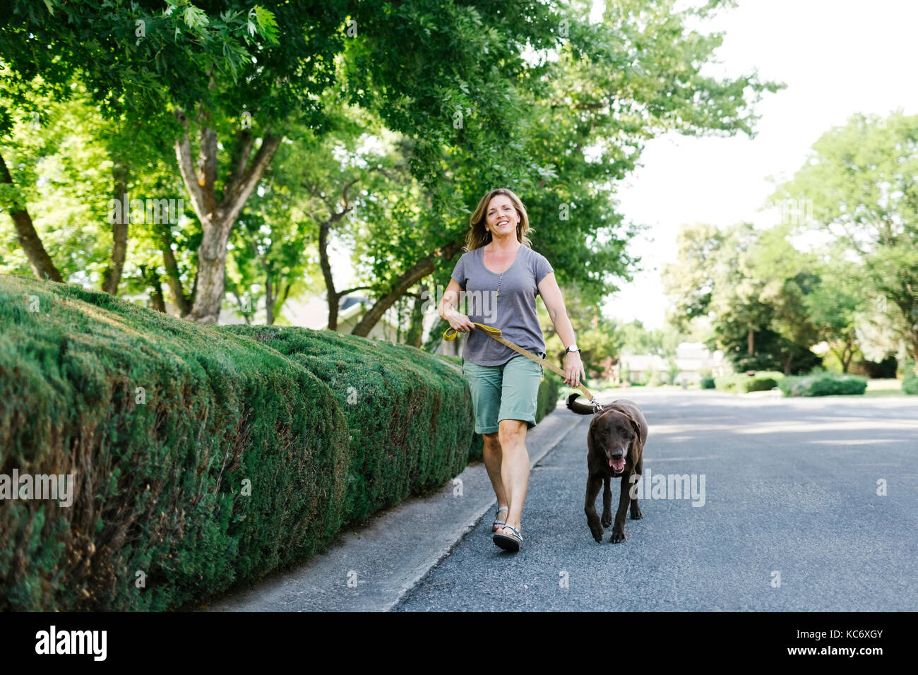 Donna che cammina con labrador retriever Foto Stock