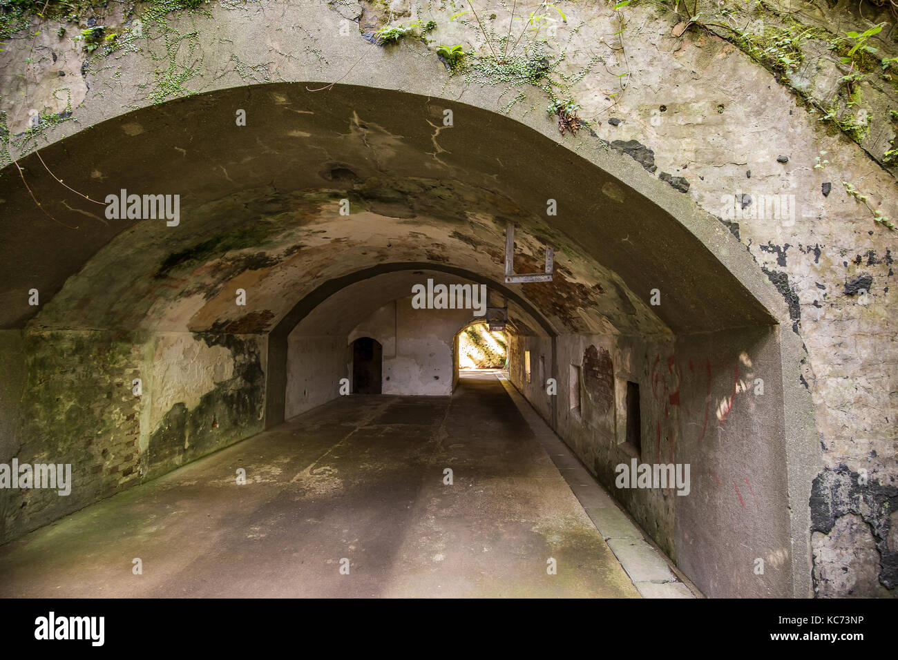 Sarushima Tunnel dell'amore - Sarushima è Tokyo Bay è solo disabitata e isola naturale ed è piena di storia. Era una volta una fortezza di barriera che pr Foto Stock