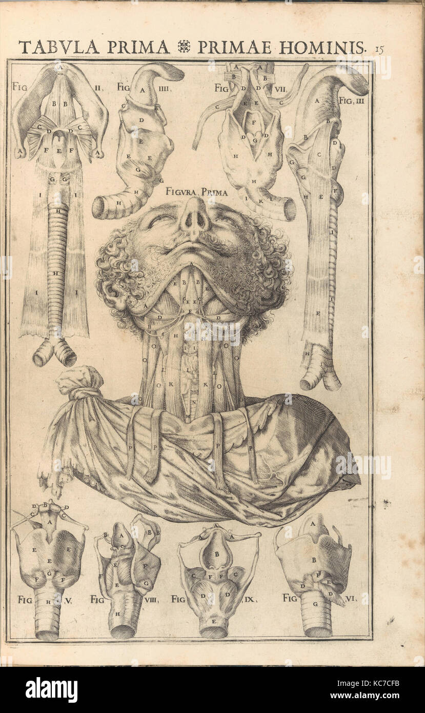 De Vocis Auditusque, 1601, incisione, complessivo: 15 3/8 x 10 5/8 x 1 1/2 in. (39,1 x 27 x 3,8 cm), libri Foto Stock