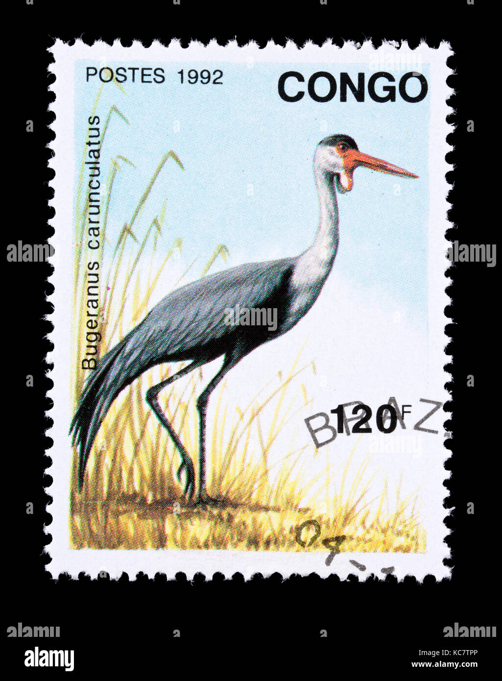 Francobollo dal Congo raffigurante una gru wattled (Bugeranus carunculatus) Foto Stock