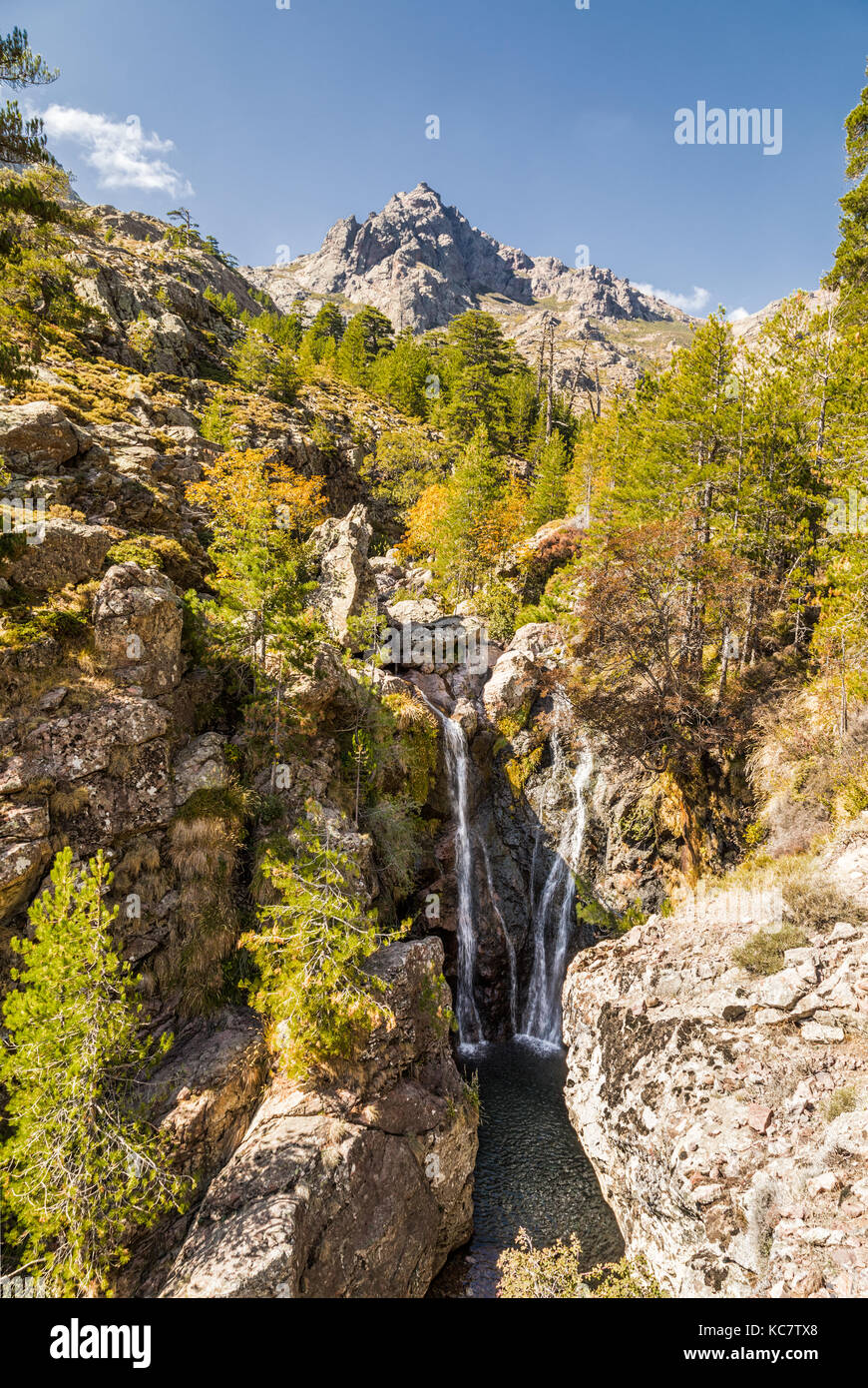 Cascata cascading su roccia in una chiara e poco profonda della piscina e tra alberi di pino con paglia orba montagna in distanza vicino al GR20 trail in corsica Foto Stock