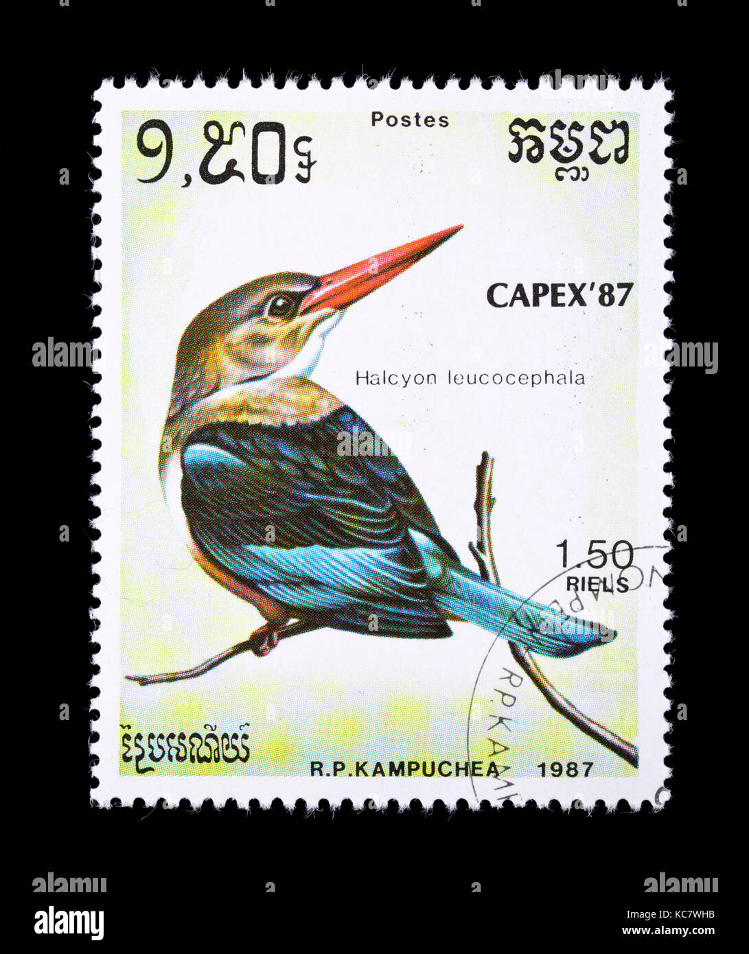 Francobollo dalla Cambogia Kampuchea () raffigurante una a testa grigia kingfisher (Halcyon leucocephala) Foto Stock
