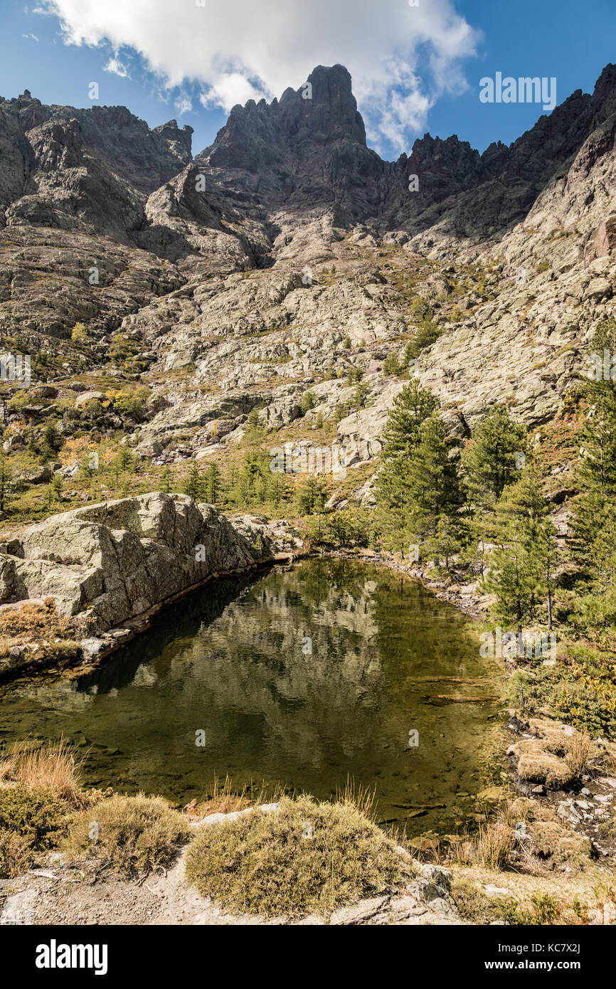 Piccolo lago di paglia orba circondata da rocce, alberi di pino e montagne vicino al GR20 sentiero escursionistico in Corsica centrale Foto Stock