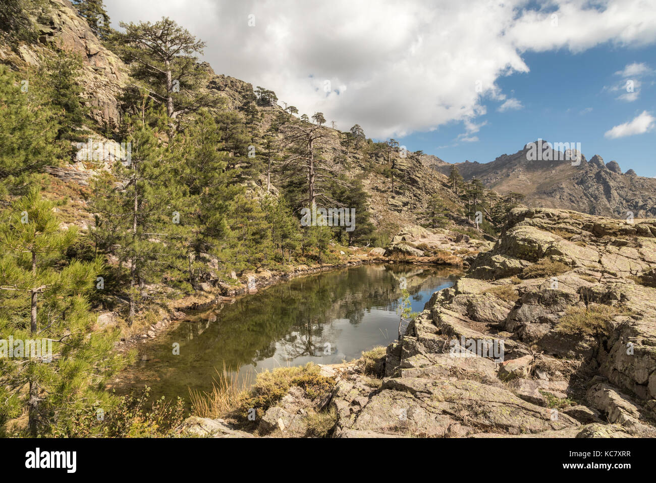 Piccolo lago di paglia orba circondata da rocce, alberi di pino e montagne vicino al GR20 sentiero escursionistico in Corsica centrale Foto Stock