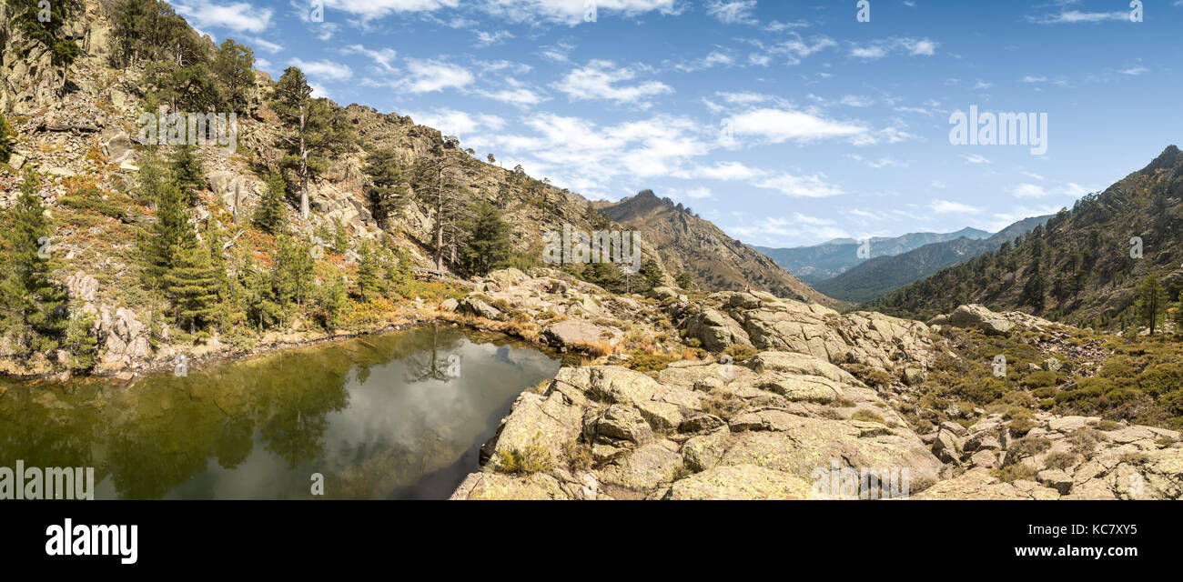 Vista panoramica del piccolo lago di paglia orba circondata da rocce, alberi di pino e montagne vicino al GR20 sentiero escursionistico in Corsica centrale Foto Stock