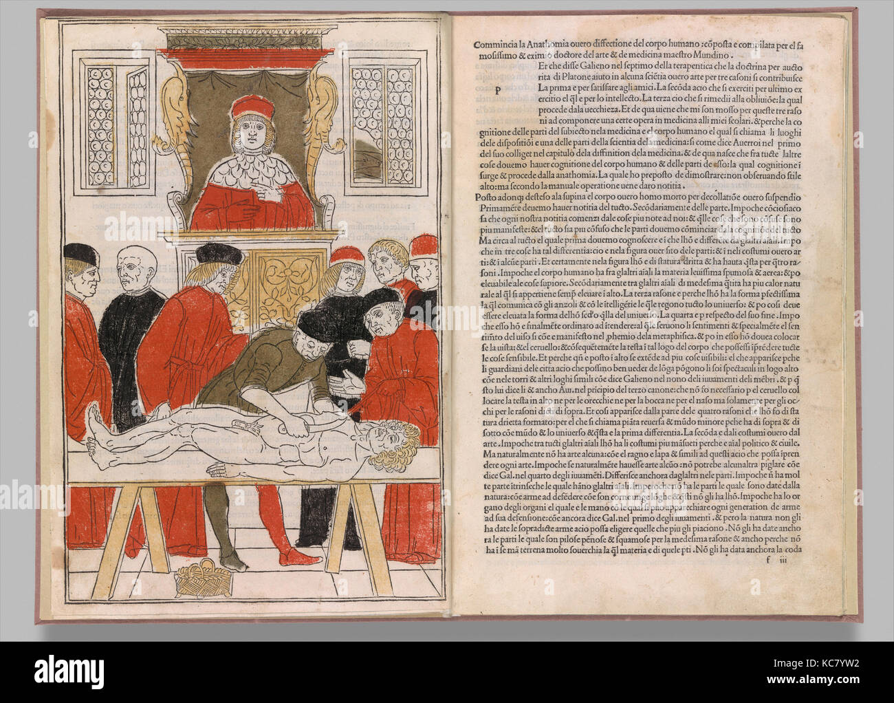 Fasciculo di medicina, 5 febbraio 1493 stile moderno, 1494 Foto Stock