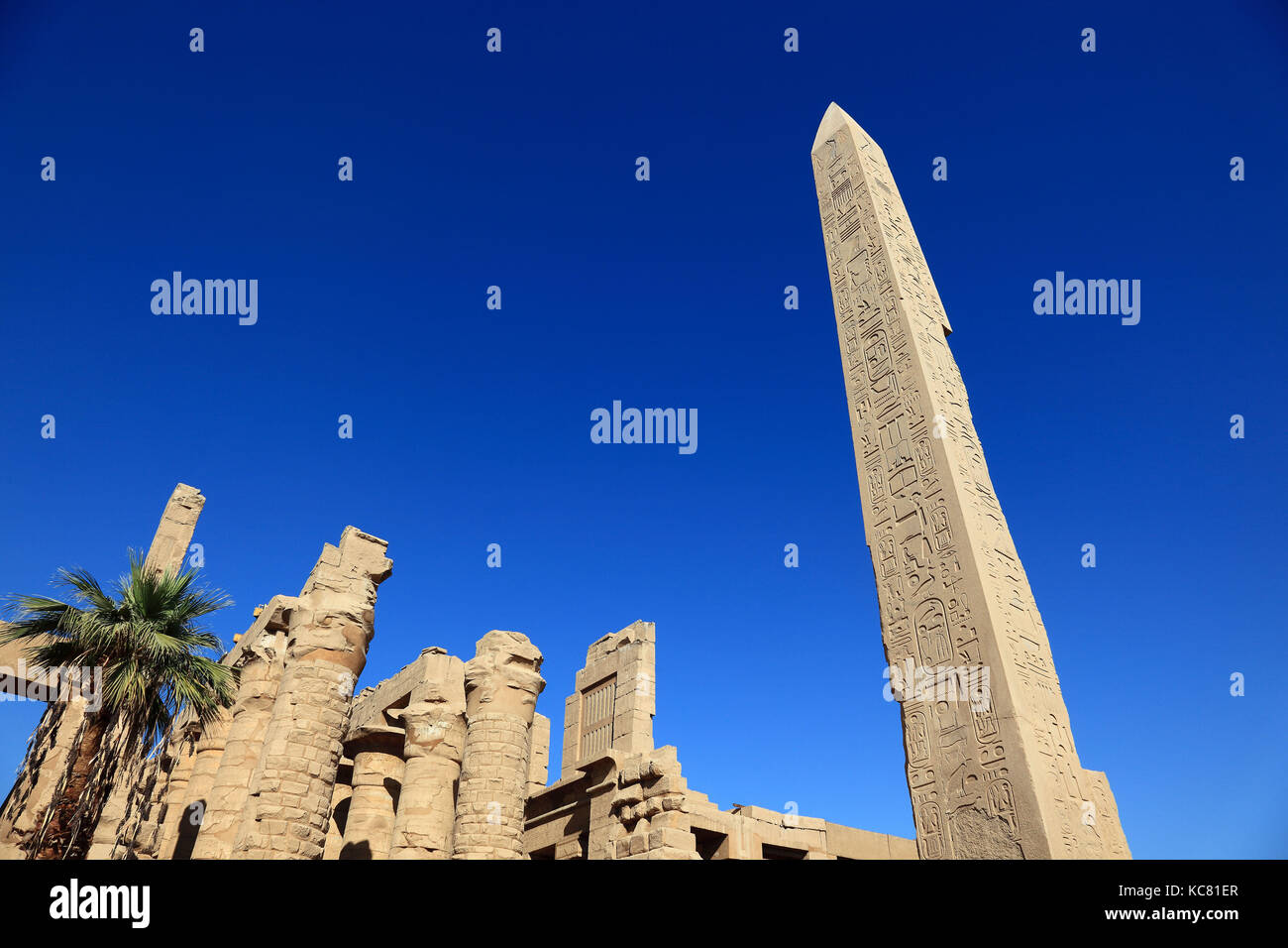 Obelisken thutmosis i. und hatschepsut, Luxor, Tempio di Karnak, obelisco, parte del complesso del tempio di Karnak, Alto Egitto Foto Stock