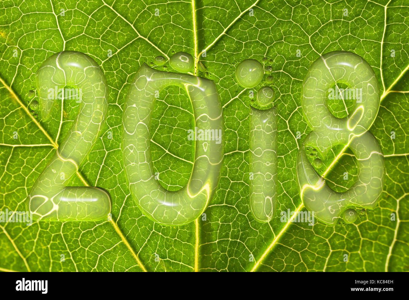 2018, gocce di pioggia su una foglia verde sfondo, 2018 Anno nuovo concetto di ambiente Foto Stock