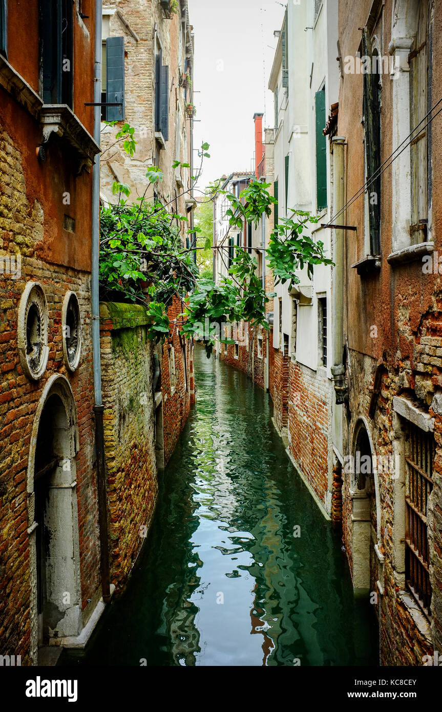 Un tranquillo ritorno acqua Canal a Venezia con stretti spazi tra le case Foto Stock