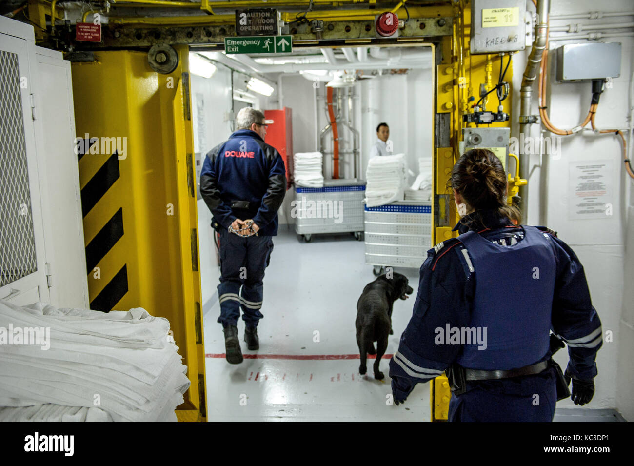 Marsiglia (sud-est della Francia). 2015/04/28: brigata doganale controllo bagagli su una nave da crociera (Cruise Line Costa Crociere) a Marseille-Fos porta. Uomo Foto Stock