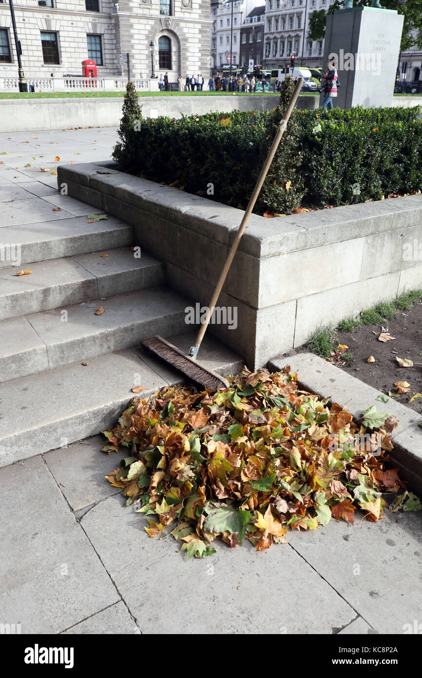 Pic mostra: mucchio di foglie aventi stato spazzato fino all'inizio dell'autunno in piazza del Parlamento Pic da Gavin Rodgers/Pixel 8000 Ltd Foto Stock