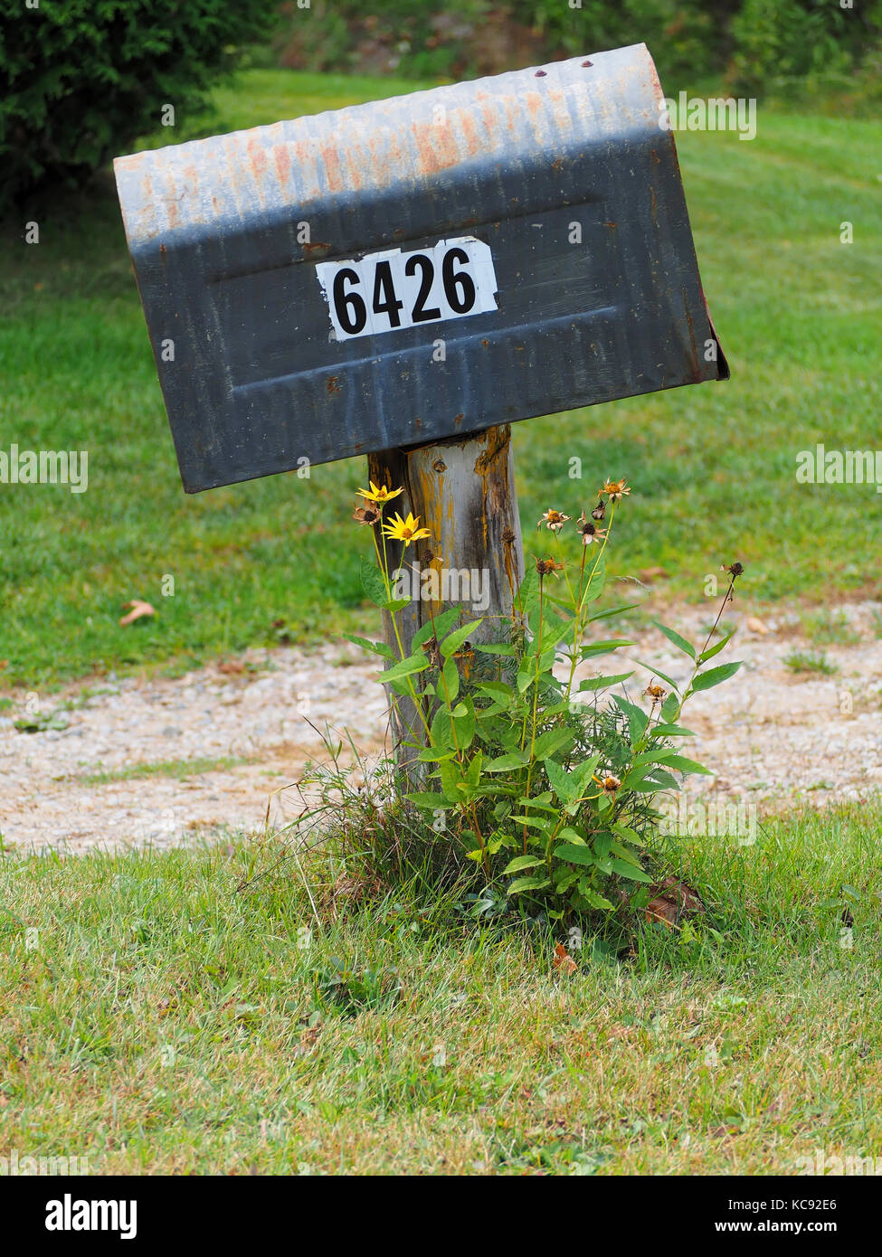 Quebec, Canada. Metallo mailbox residenziale Foto Stock