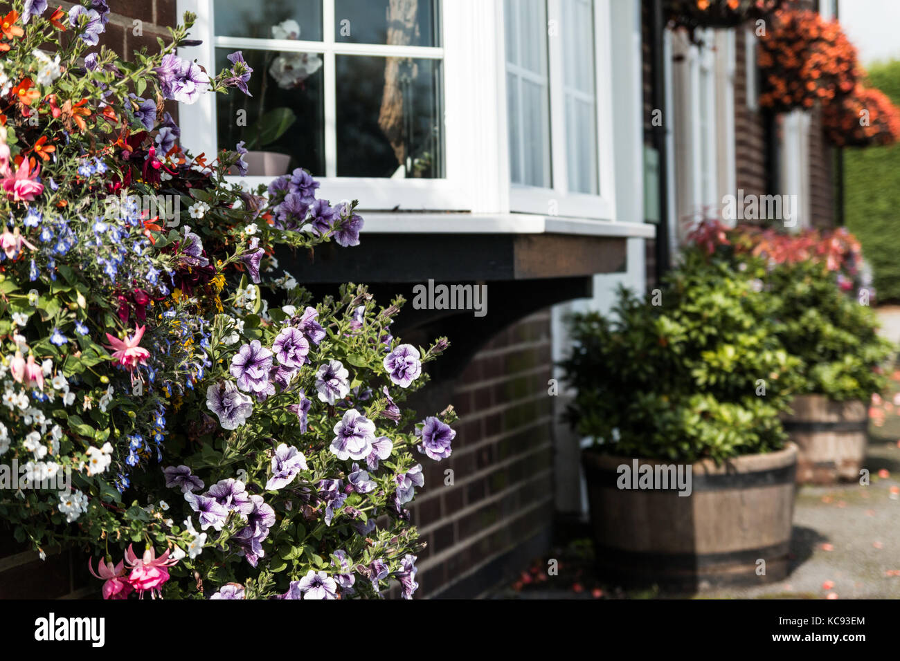 Fiori e bay window. focalizzato vicino sul vicino a fiori con sfondo il permesso di avere soft focus. Foto Stock