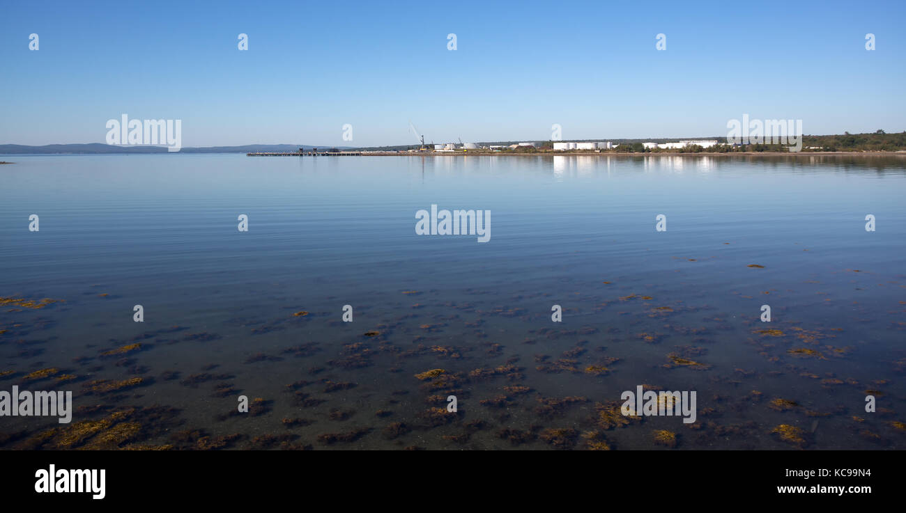 Ampia vista del molo commerciale a searsport maine in estate con le alghe galleggianti sull'acqua di sale in primo piano. Foto Stock