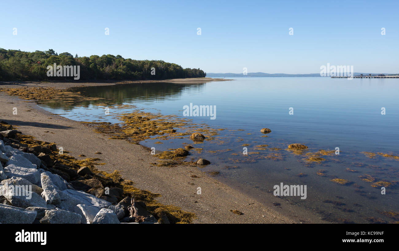 Ampia vista della punta del sears isola in searsport maine con blocchi di granito, spiaggia di ghiaia e di alghe. Foto Stock