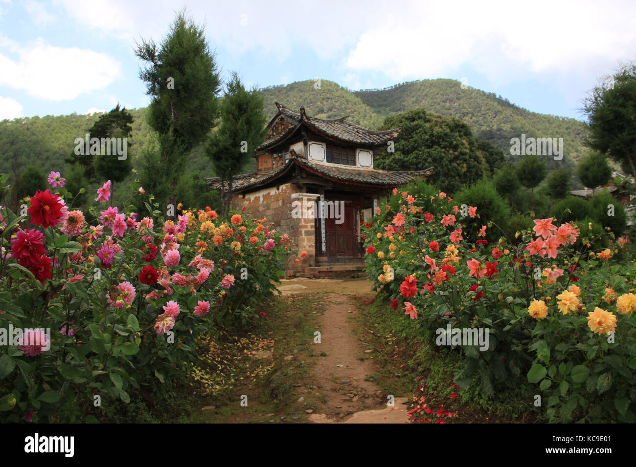 Casa cinese circondato da fiori in fiore Foto Stock