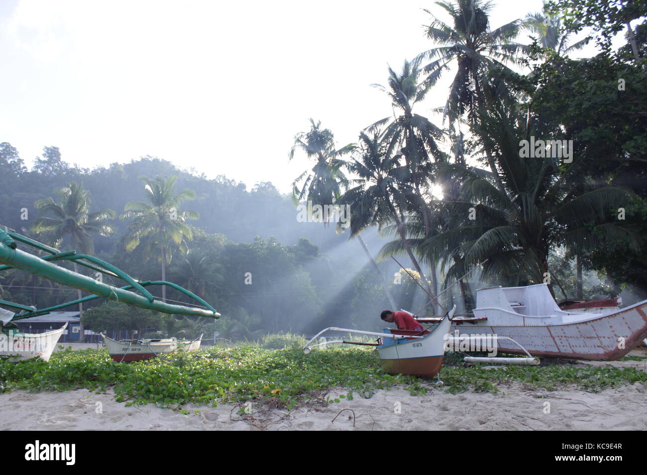 Raggi di luce attraverso le palme su una spiaggia Foto Stock