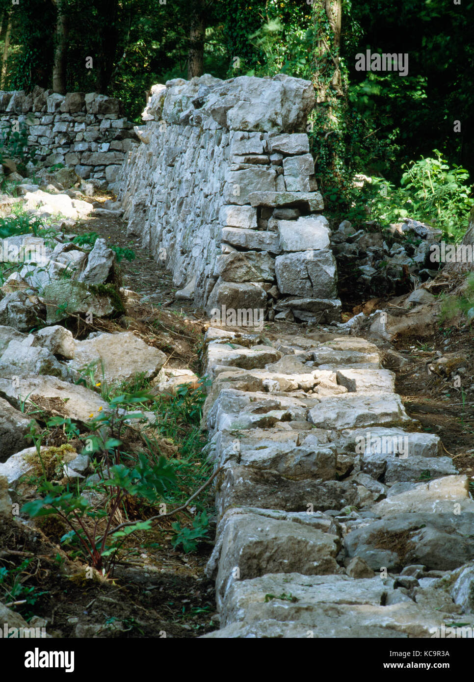 Muro a secco ricostruito da Richard Jones, Loggerheads Country Park, Denbighshire, Galles del Nord, Regno Unito. Calcare di provenienza locale. Foto Stock
