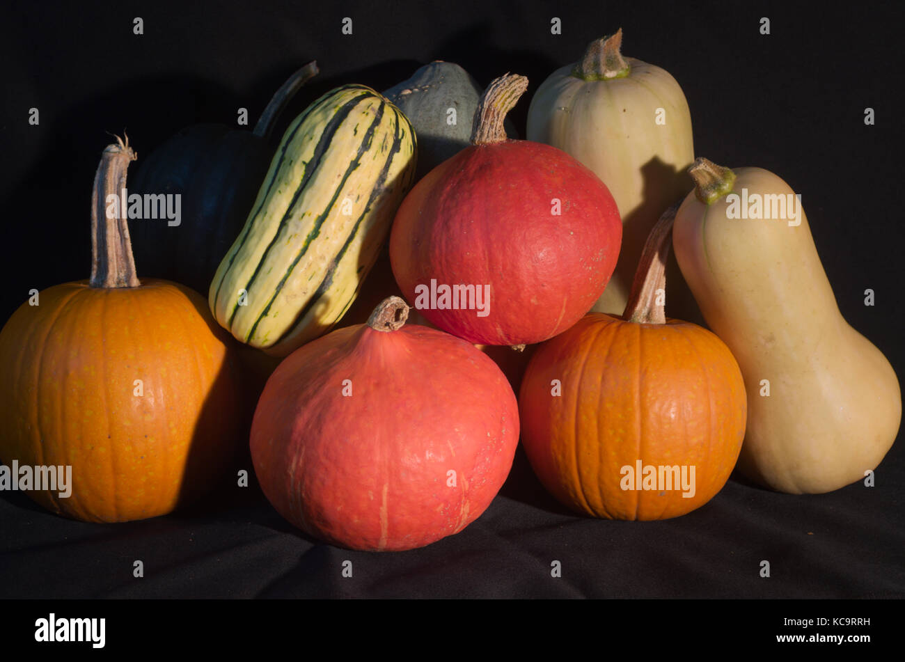Zucca invernale, zucca, Butternut, Peppy, Delicata, su sfondo nero perfetto per Halloween, Foto Stock