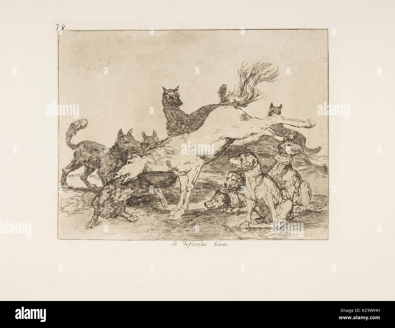 Piastra 78 da 'disastri della guerra" (Los Desastres de la guerra): "Egli si difende bene' ' (se defiende bien.), Goya Foto Stock