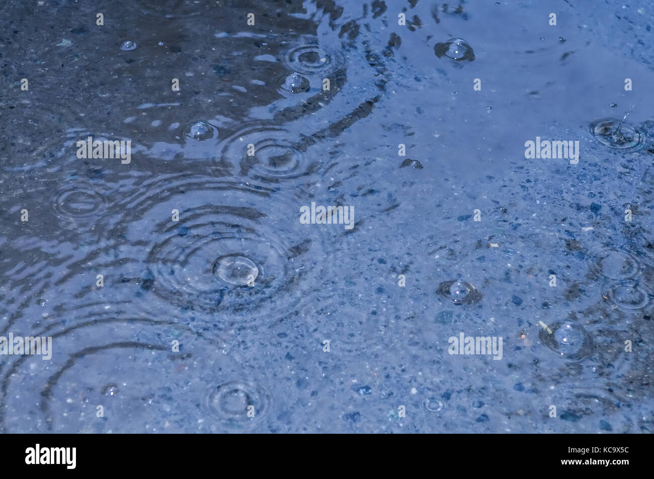 Gocce di pioggia sulla superficie di acqua in una pozza Foto Stock