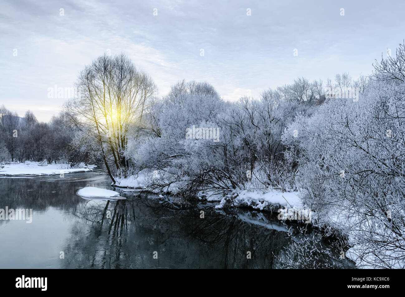 Paesaggio invernale. alberi ghiacciati attorno al fiume Foto Stock