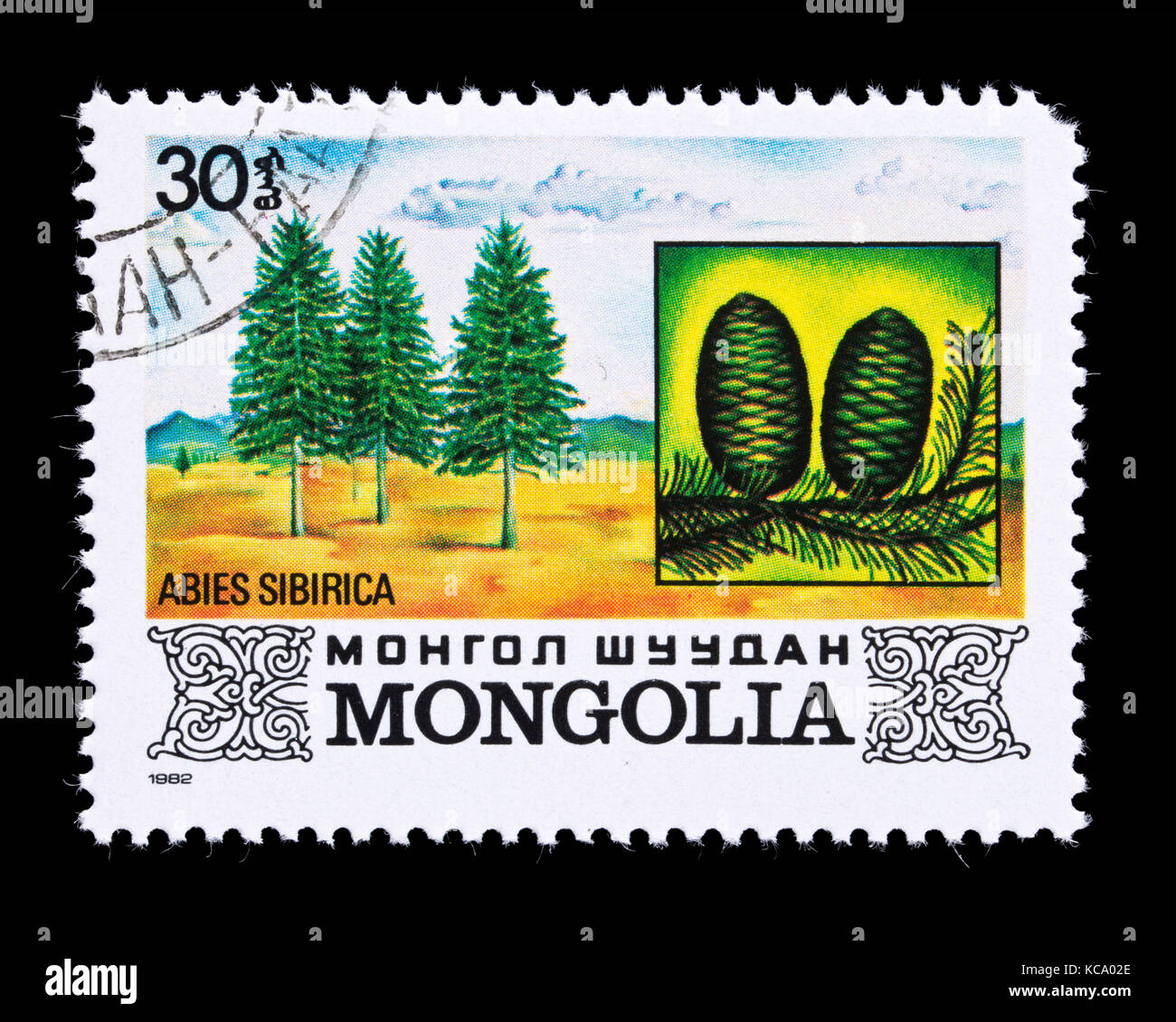 Francobollo dalla Mongolia raffiguranti Siberian Fir (Abies sibirica) Foto Stock