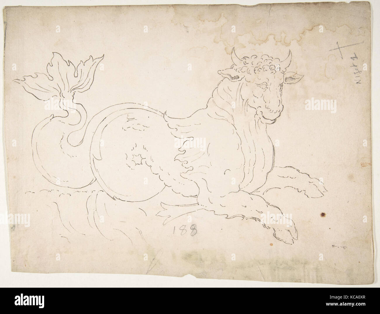 Marine bull, dettaglio (recto) vuoto (verso), inizio a metà del XVI secolo Foto Stock