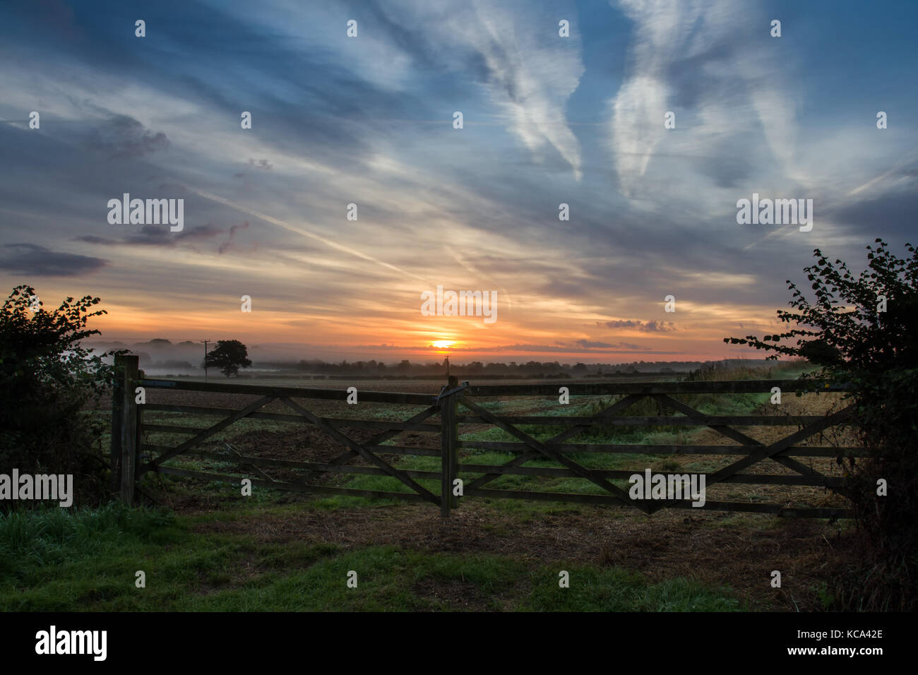 Estate Sunrise oltre i Cotswolds, Oxfordshire, Regno Unito Foto Stock