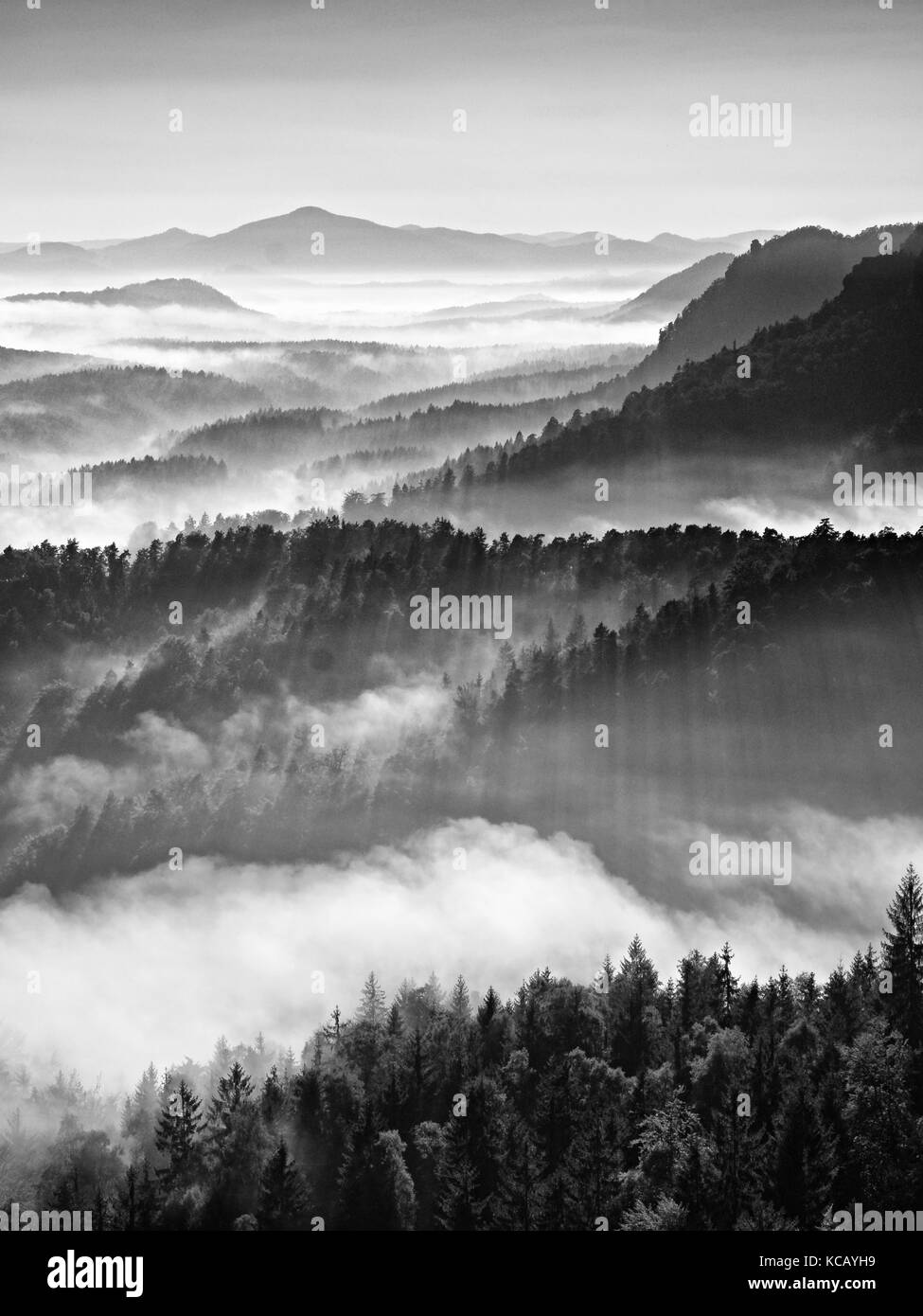 Colorato autunno alba. misty risveglio in una bellissima collina. cime delle colline sono sporgenti da sfondo velato Foto Stock