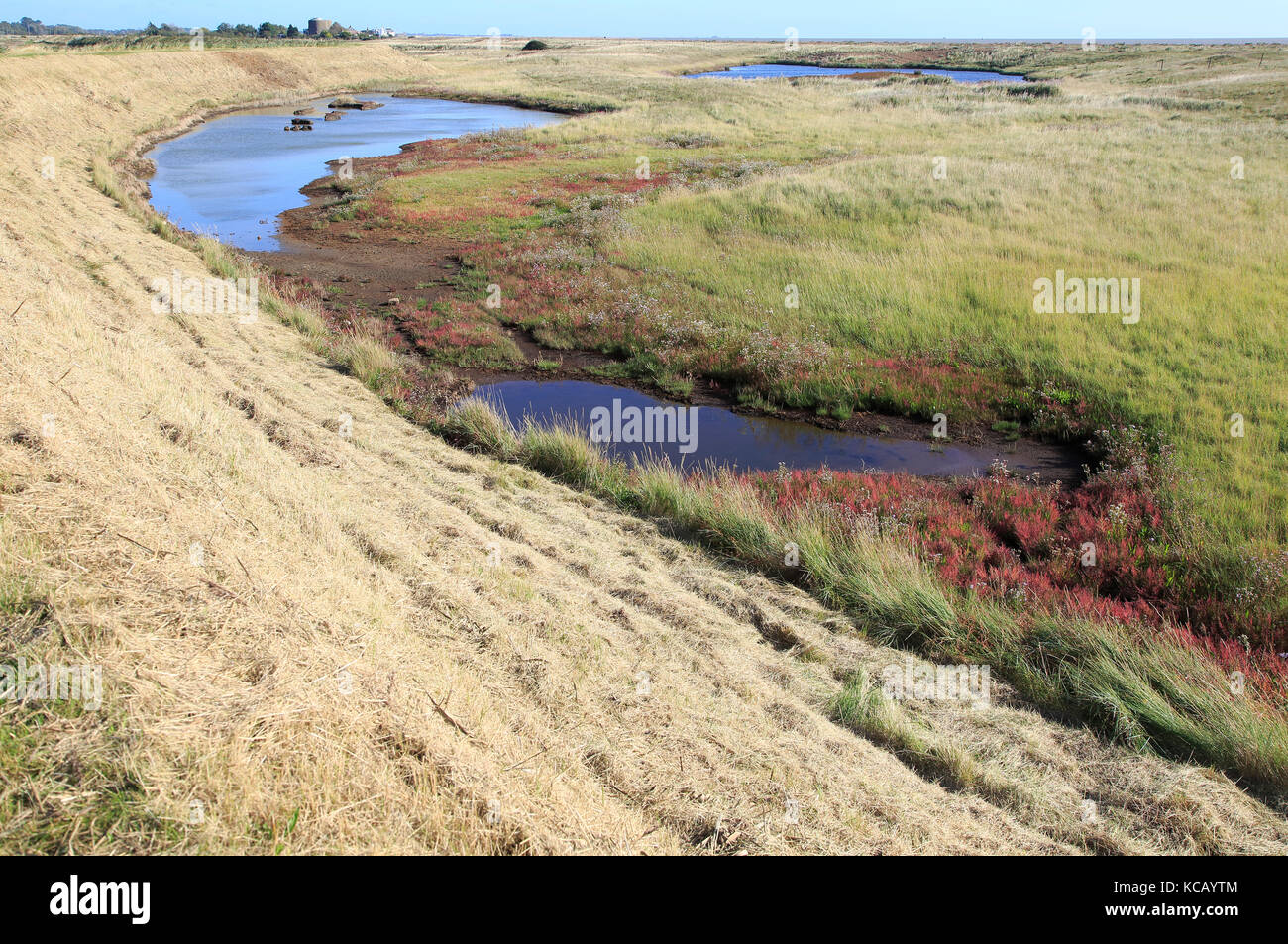 Difesa Flood sea wall dyke vista nord su coastal salt marsh per strada di ciottoli, a Alderton, Suffolk, Inghilterra, Regno Unito Foto Stock