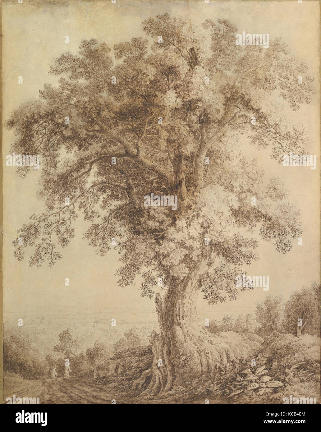 Un grande albero a Albano, Philipp Jacob Hackert, 1782 Foto Stock